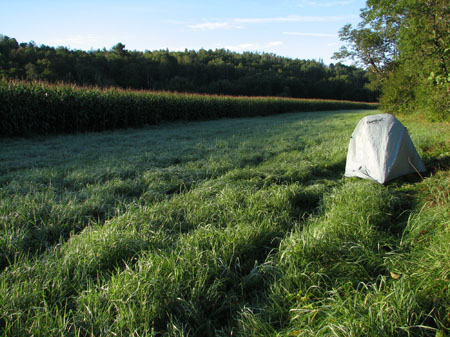 3 Camping by cornfield
